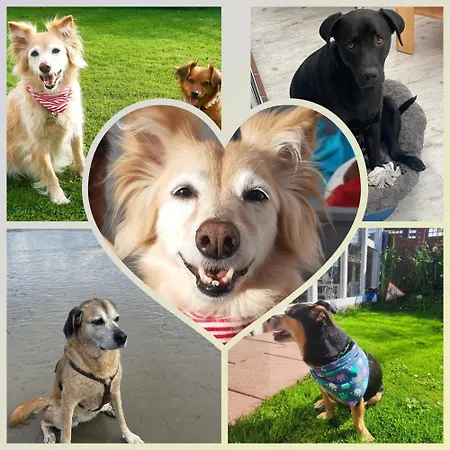 Prázdninový dům Kimbas Huus Berumbur